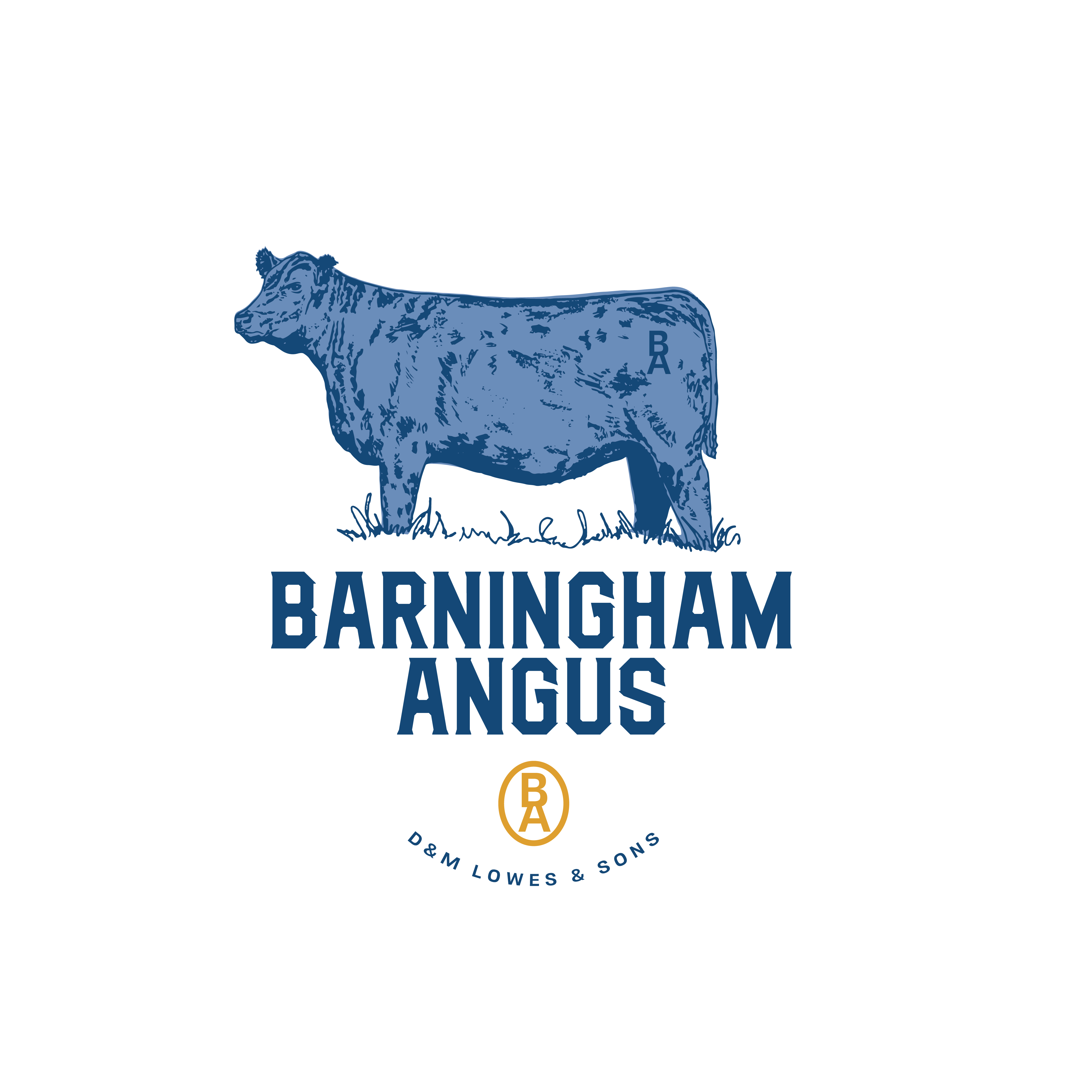 Barningham Angus logo